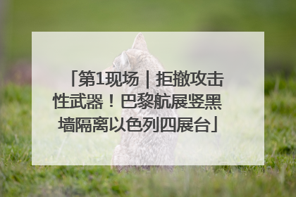 第1现场｜拒撤攻击性武器！巴黎航展竖黑墙隔离以色列四展台